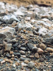 pebbles on the beach