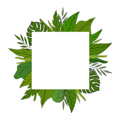 green leaves with white white square frame for text
