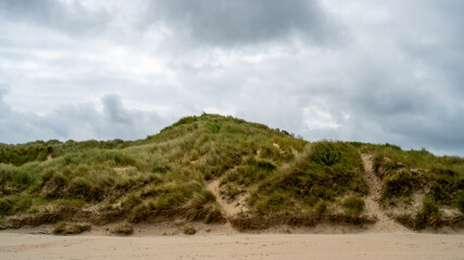 Fototapeta na wymiar Dune on the coast of North sea in Belgium 