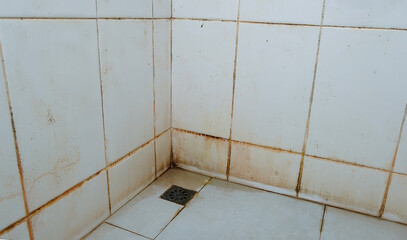 Dirt on the floor, stains on the walls, and corners of bathroom tiles white. Slippery and may have an accident. Accumulation of pathogens. Selective focus.