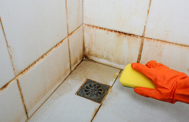 Clean old dirty bathroom floors and walls, bathroom cleaning tools to try and remove dirt, mold and...
