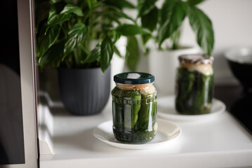 Pickled cucumbers for winter organic food. Canned vegetables cucumber in glass jars on grey background. Space for text.