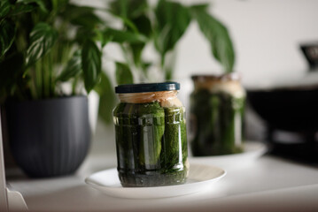 Pickled cucumbers for winter organic food. Canned vegetables cucumber in glass jars on grey background. Space for text.
