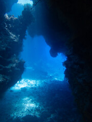 Naklejka na ściany i meble Diving in the Red Sea at Egypt
