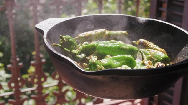 Traditional Spanish patron peppers, green padrons tapas.