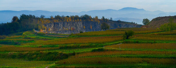 Weinberge Reben Rebh&uuml;tte