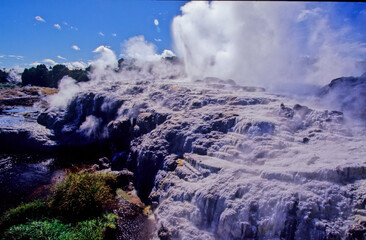 Pohutu Geyser