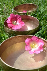 Obraz na płótnie Canvas Tibetan singing bowls with water and pink flowers on the naturure background - healing music instruments for meditation, massage, relaxation, yoga