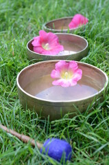 Tibetan singing bowls with water and pink flowers on the grass - healing instruments for meditation, massage, relaxation, yoga practice