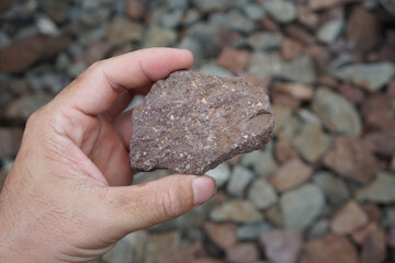Geologist's hand is holding a sample of rhyolite that shows a pinkish color, abundant white phenocrysts of K-feldspar, and some quartz phenocrysts.