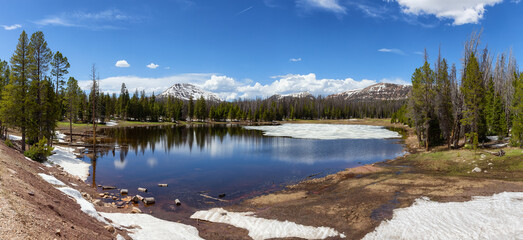 Fototapeta na wymiar Lake surrounded by Mountains and Trees in Amercian Landscape. Spring Season. Lilly Lake in Uinta-Wasatch-Cache National Forest, Utah. United States. Nature Background Panorama