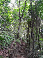 Cascada en las montañas de Herrera 