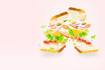 On a white background, two sandwiches with meat, herbs and vegetables in a frozen flight....