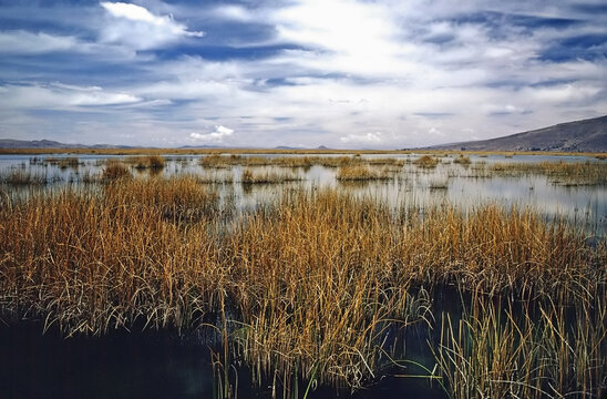Lake Titicaca, Peru