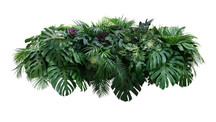Tropical leaves foliage plants bush floral arrangement nature backdrop on transparent background - 522563481
