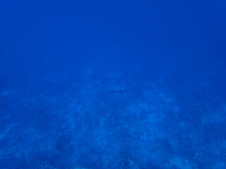 Fototapeta na wymiar Scuba Diving in the Red Sea