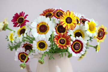Chrysanthemums "Rainbow" as a floral background.