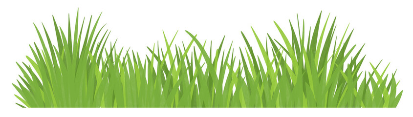 Fototapeta premium Green grass and plant element.