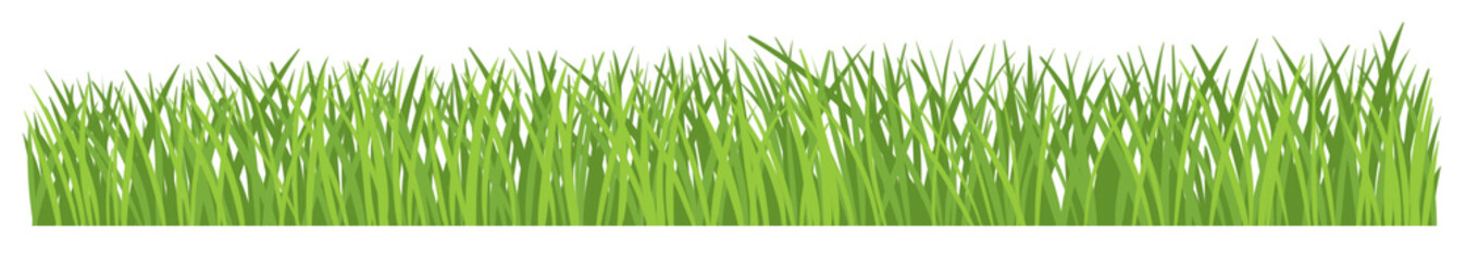 Green grass and plant element.