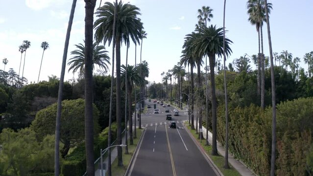Aerial: Slow Motion Shot Of Green Palm Trees In Residential City, Drone Flying Forward Over Road -  Beverly Hills, California