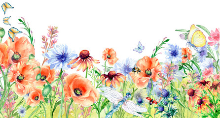 Meadow orange, red flowers board, dragonfly, butterflies watercolor illustration isolated. - obrazy, fototapety, plakaty