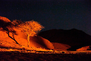 Night photo in desert Dahab , South Sinai , Egypt