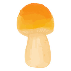 Watercolor Mushroom, Hand painted decoration clipart.