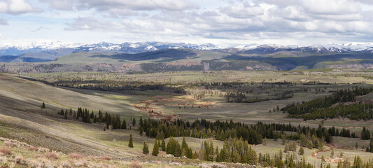 Naklejka premium Trees and Mountain in the American Landscape. Yellowstone National Park, Wyoming. United States. Nature Background. Panorama