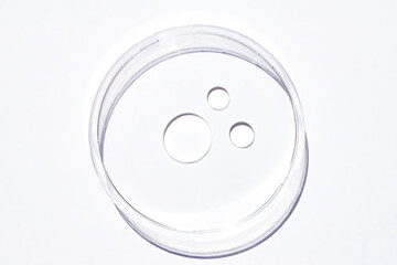 Transparent cosmetic face or body gel moisturizer drops on white background in petri dish. Hygiene,...