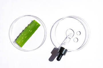 Natural cosmetic laboratory concept. Petri dishes with cosmetic gel of Aloe Vera plant, pipette dropper with serum on white background top view