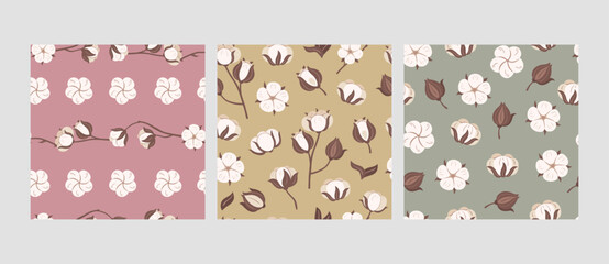 Cotton flower pattern. Soft bolls of blooming flowers, organic agricultural products and seamless cotton field background vector set