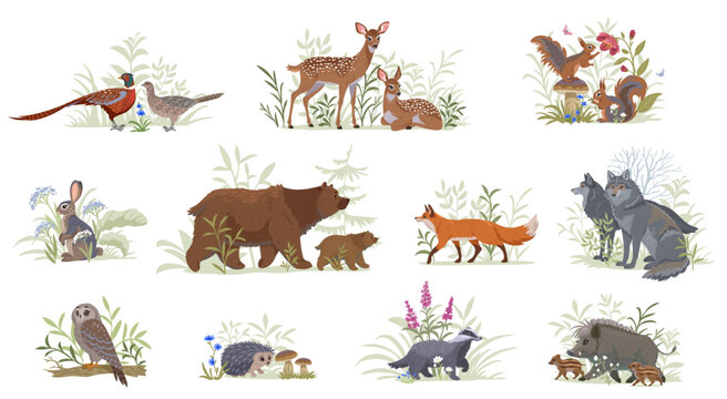 set forest animals