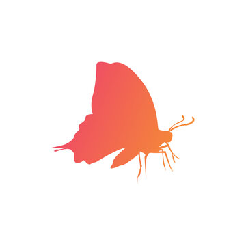 Butterfly vector flat icon with gradient.