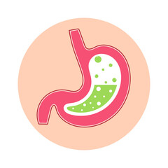 Stomach filled with acid and gases. The topic of stomach health.