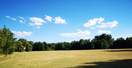 landscape with trees and blue sky