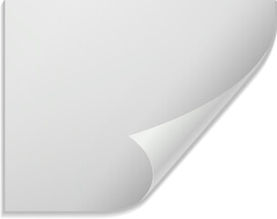 Curled corner sticker. Rectangular paper realistic label