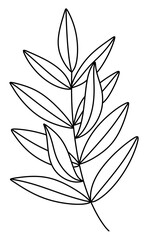 Modern line art tropical leaves