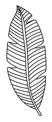 Modern line art tropical leaves