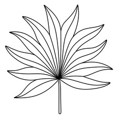 Modern line art tropical leaves