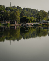 Fototapeta premium reflection of the tree in the water