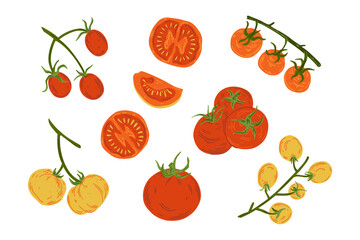 A set of fresh, juicy tomatoes. The set contains tomatoes and cherry tomatoes, whole and sliced. Healthy, natural food