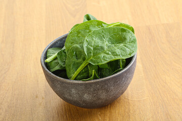 Fresh green spinach leaves in the bowl