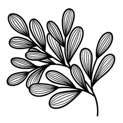 line art tropical leaves.