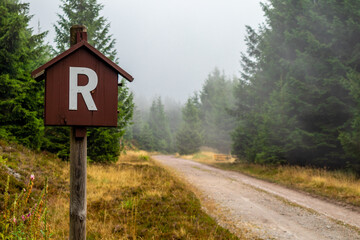 Sommerliche Entdeckungstour durch den Thüringer Wald bei Brotterode - Thüringen