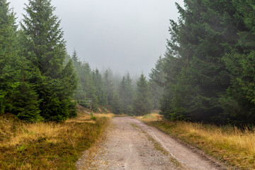 Sommerliche Entdeckungstour durch den Thüringer Wald bei Brotterode - Thüringen