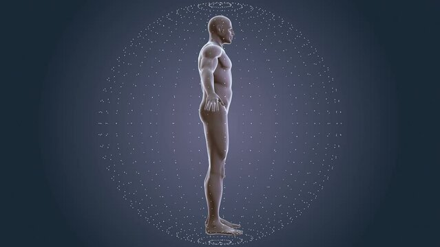 Human body with plexus technology background