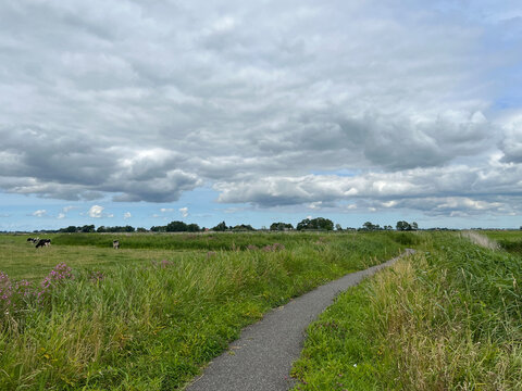 Bicycle path around Baard