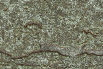 Corrosion on the metal surface - destroyed and rusty plates