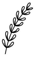 line art tropical leaves