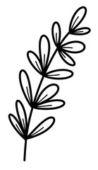 line art tropical leaves